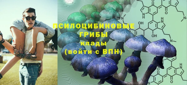гашик Беломорск