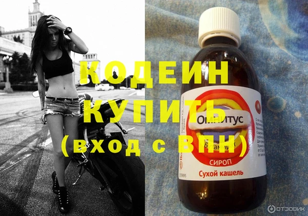 шишки Семикаракорск