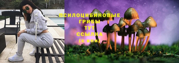 гашик Беломорск