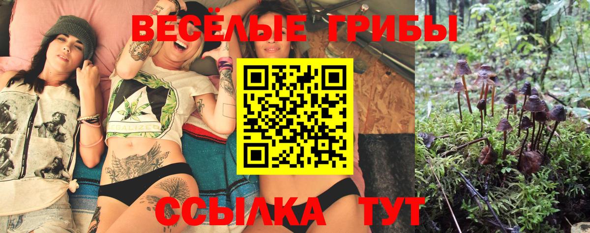 Псилоцибиновые грибы мицелий Острогожск