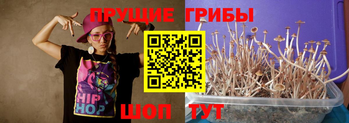 Псилоцибиновые грибы Magic Shrooms  Вход с VPN  Галлюциногенные грибы GOLDEN TEACHER  Острогожск 